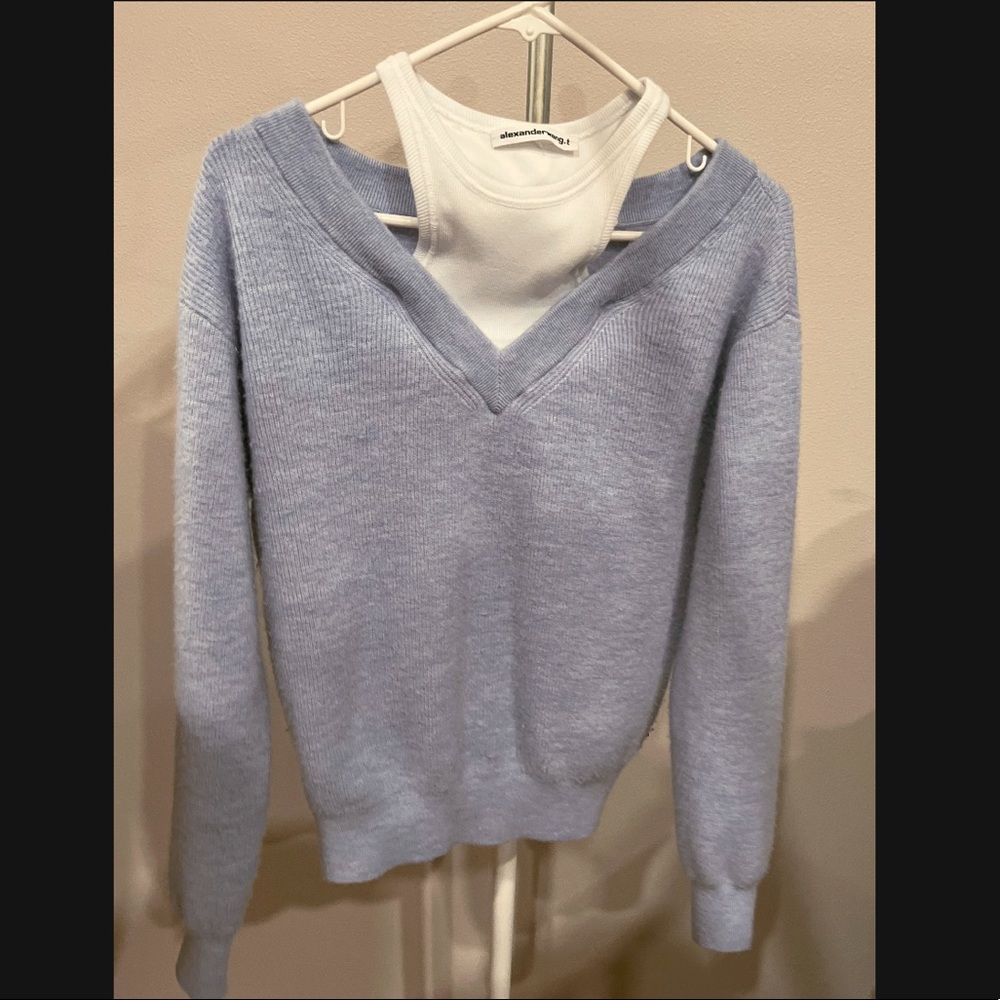 Alexander Wang sweater